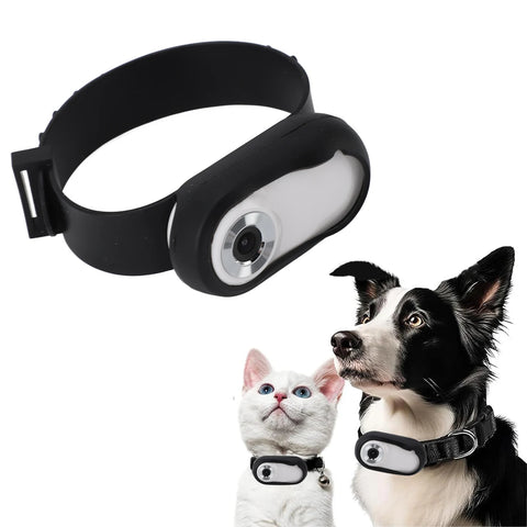 Cámara para collar de mascotas, recargable por USB, pantalla LCD HD 1080P, ligera, compatible con funciones de video y fotografía para gatos.