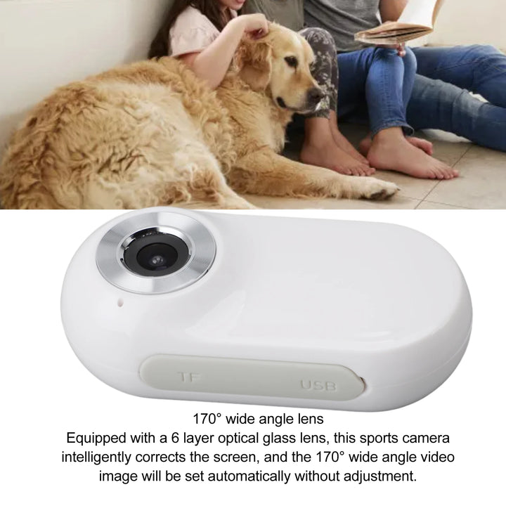 Cámara para collar de mascotas, recargable por USB, pantalla LCD HD 1080P, ligera, compatible con funciones de video y fotografía para gatos.